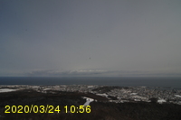 Img20200324_105631.jpg