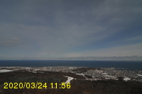 Img20200324_115637.jpg