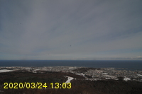 Img20200324_130318.jpg