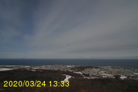 Img20200324_133319.jpg