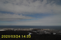 Img20200324_143325.jpg