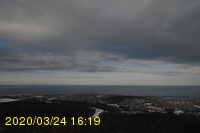 Img20200324_161950.jpg