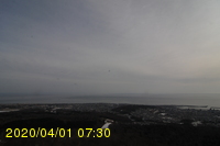 Img20200401_073032.jpg