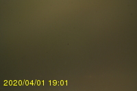 Img20200401_190159.jpg