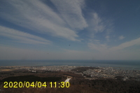 Img20200404_113004.jpg