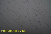 Img20200405_075416.jpg
