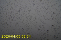 Img20200405_085435.jpg