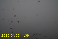 Img20200405_113952.jpg