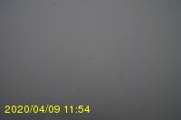 Img20200409_115446.jpg