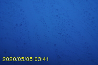 Img20200505_034151.jpg