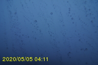 Img20200505_041152.jpg