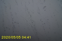 Img20200505_044151.jpg