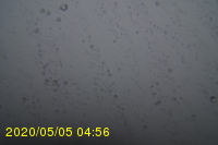 Img20200505_045652.jpg