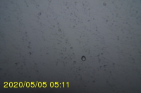 Img20200505_051153.jpg