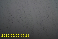 Img20200505_052652.jpg