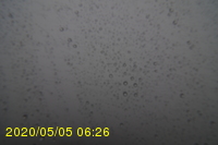 Img20200505_062656.jpg