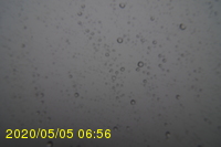 Img20200505_065658.jpg