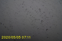 Img20200505_071159.jpg