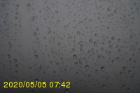 Img20200505_074200.jpg