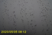 Img20200505_081202.jpg