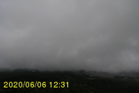 Img20200606_123142.jpg