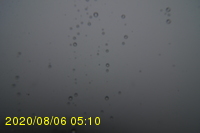 Img20200806_051041.jpg
