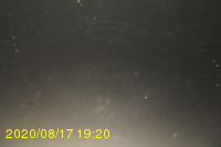 Img20200817_192056.jpg