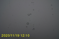 Img20201119_121016.jpg
