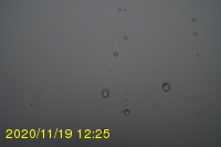 Img20201119_122517.jpg