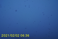Img20210202_063627.jpg