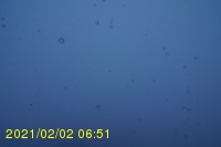 Img20210202_065127.jpg