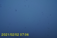 Img20210202_070627.jpg