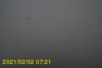 Img20210202_072127.jpg