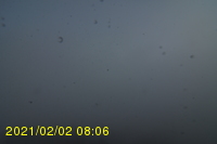 Img20210202_080627.jpg
