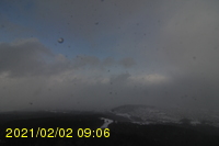 Img20210202_090627.jpg