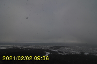 Img20210202_093628.jpg