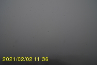 Img20210202_113628.jpg