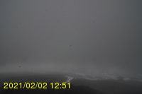 Img20210202_125129.jpg