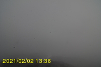Img20210202_133629.jpg