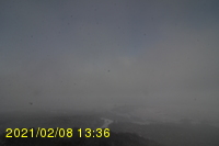 Img20210208_133617.jpg