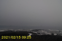 Img20210215_092551.jpg