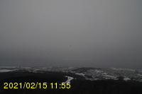 Img20210215_115551.jpg