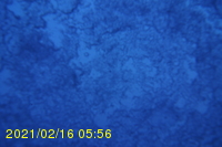 Img20210216_055627.jpg