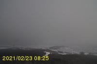 Img20210223_082507.jpg