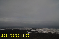 Img20210223_115507.jpg