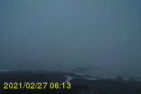 Img20210227_061307.jpg