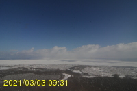 Img20210303_093147.jpg