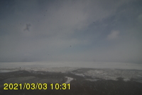Img20210303_103155.jpg