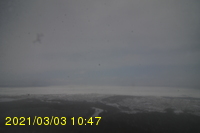 Img20210303_104717.jpg