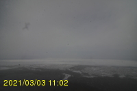 Img20210303_110217.jpg